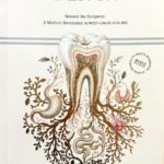 The Hidden Root - Paperback